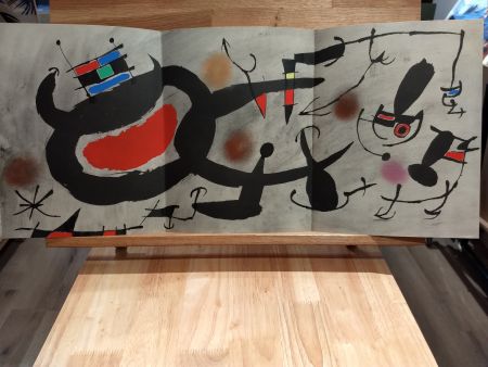 Libro Illustrato Miró - Oiseau solaire