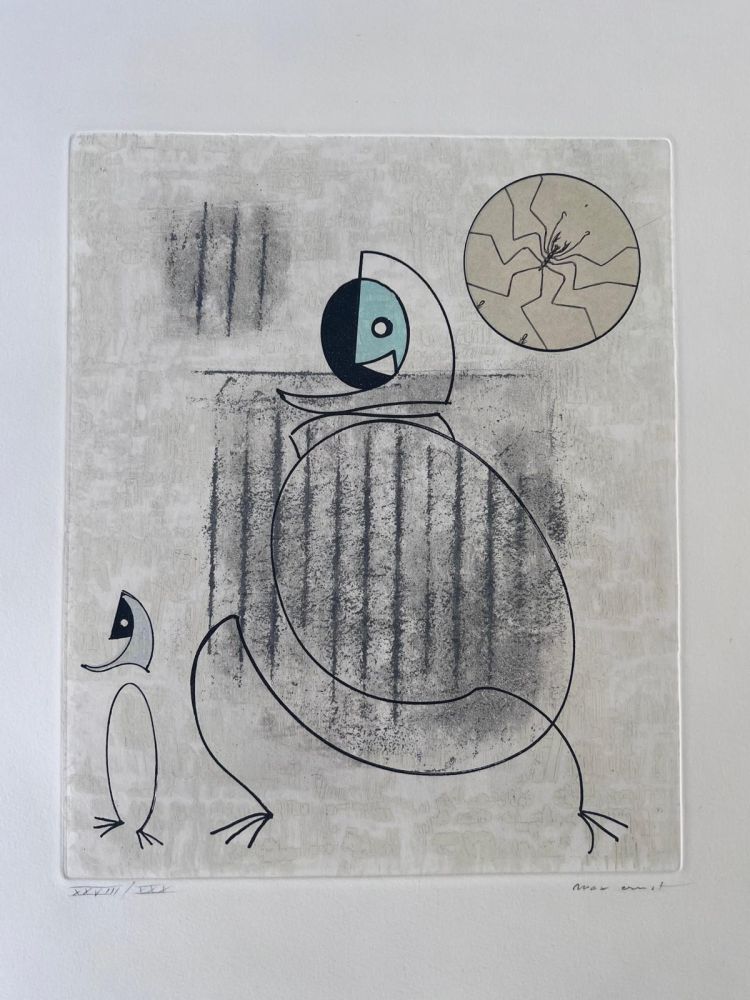 Acquaforte E Acquatinta Ernst - Oiseaux en péril 