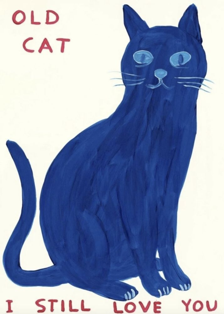 Serigrafia Shrigley - Old Cat