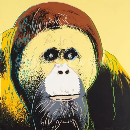 Serigrafia Warhol - Orangutan 299