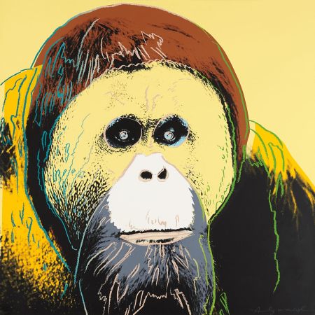 Serigrafia Warhol - Orangutan 299