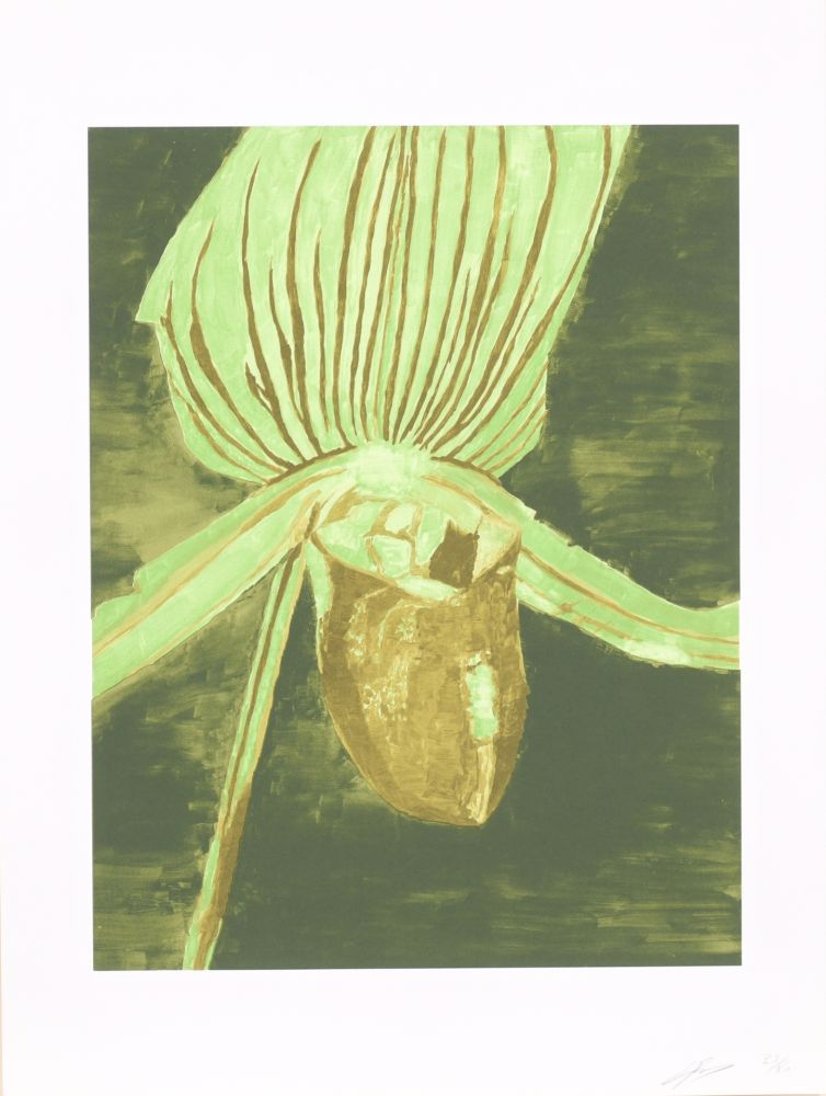 Serigrafia Tuymans - Orchid