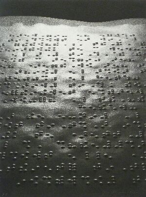 Fotografie Fontcuberta - Paisatge braille