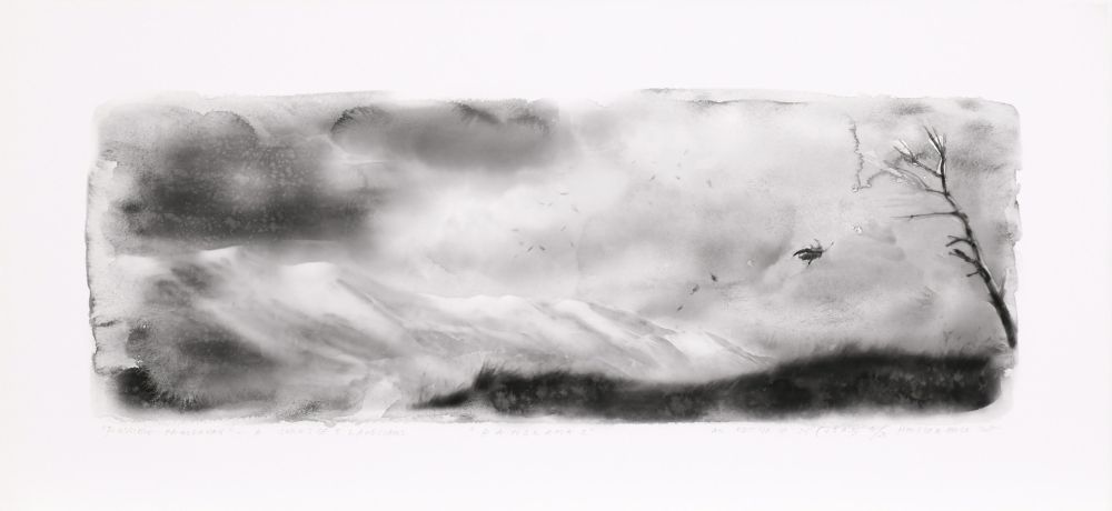 Grafica Numerica Op De Beeck - Panorama 2