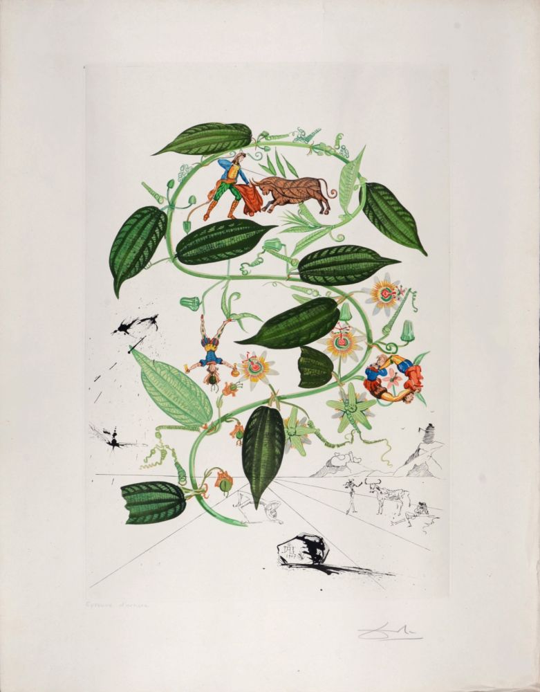Incisione Dali - Passiflora Lariguera, 1969 - Hand-signed!