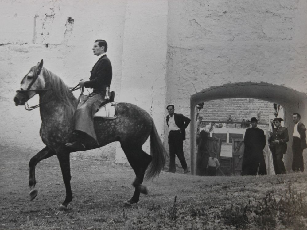 Fotografie Català-Roca - Pati de cavalls