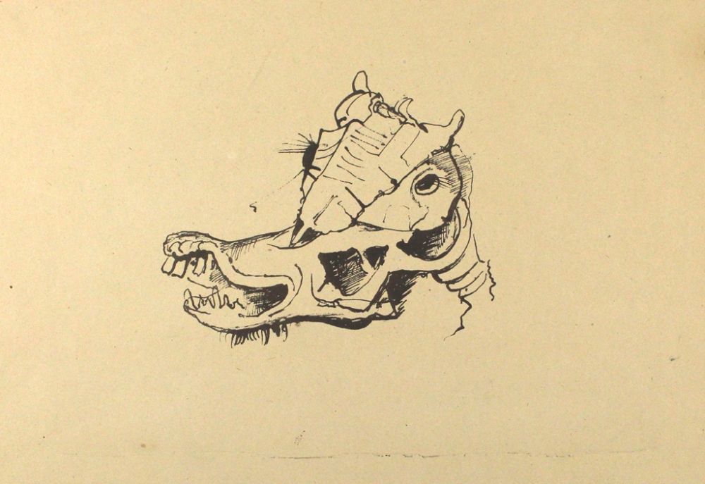 Litografia Hofer - Pferdeschädel / Horse Skull