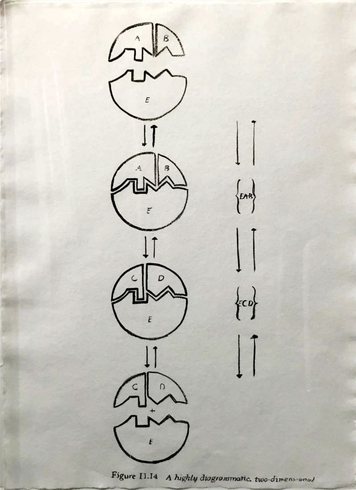 Multiplo Warhol - Physiological Diagram
