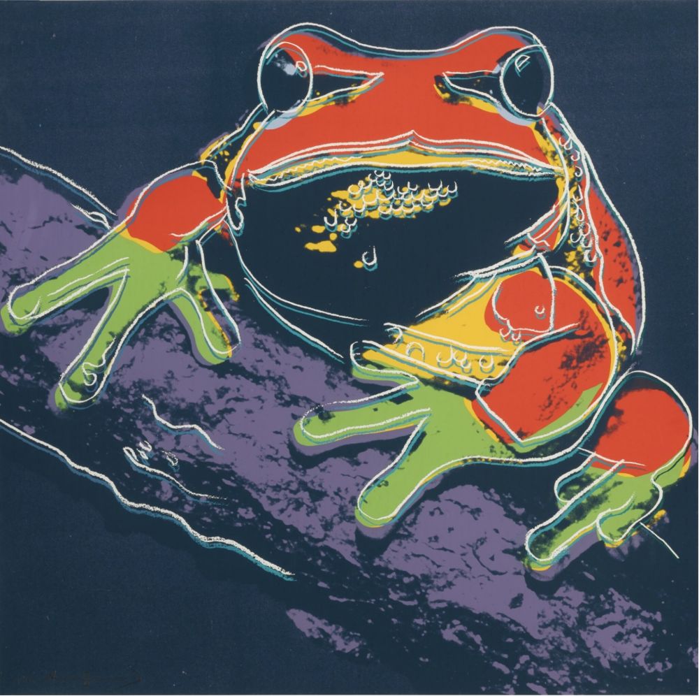 Serigrafia Warhol - Pine Barrens Tree Frog