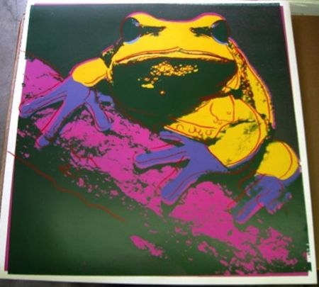 Serigrafia Warhol - Pine Barrens Tree Frog 294 by Andy Warhol