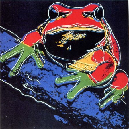 Serigrafia Warhol - Pine Barrens Tree Frog (FS II.294)