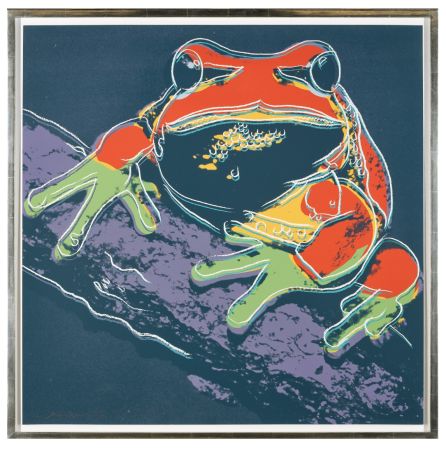 Serigrafia Warhol - Pine Barrens Tree Frog (FS II.294)