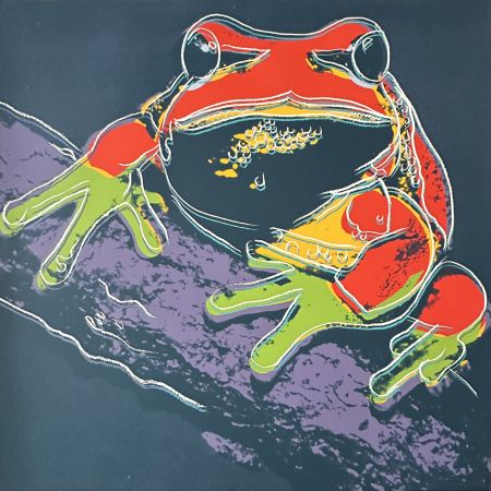 Serigrafia Warhol - Pine Barrens Tree Frog (FS II.294)