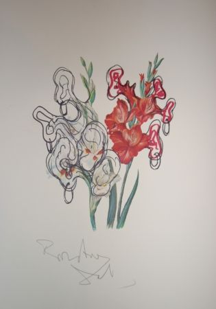 Litografia Dali - Pirates Gladioli (surrealistic flowers)