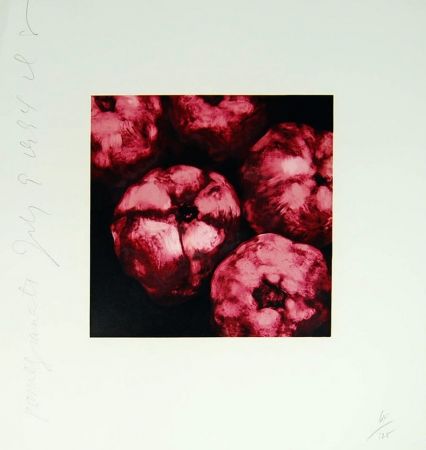Serigrafia Sultan - Pomegranates