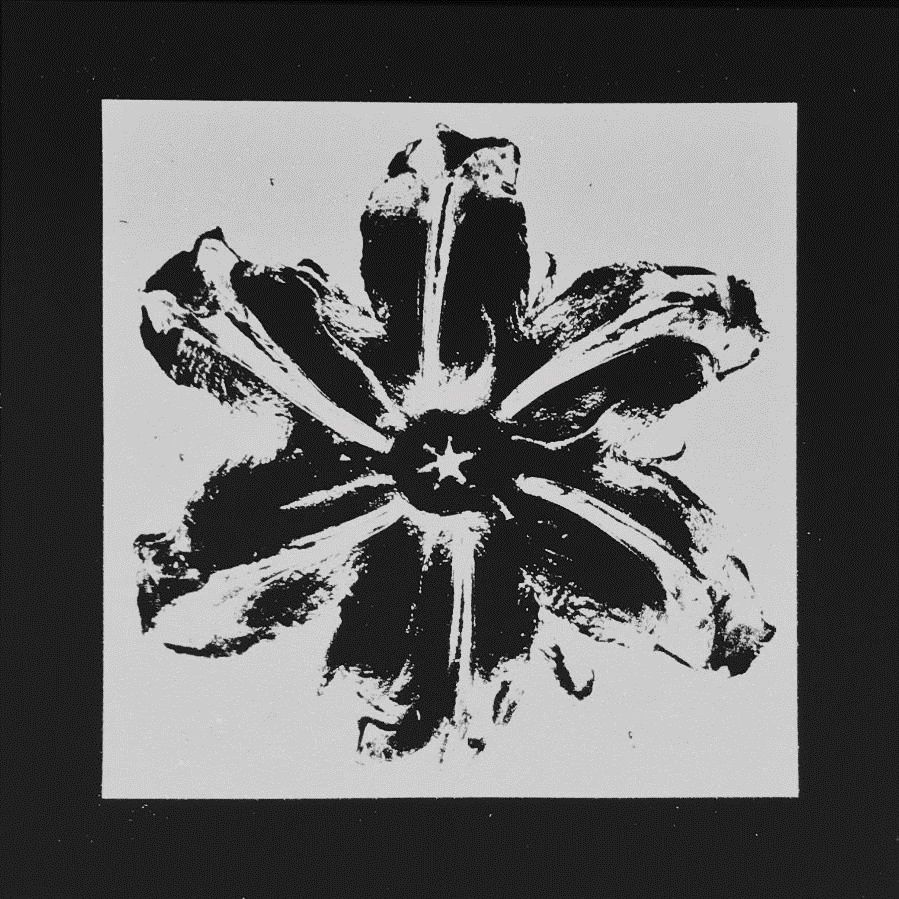 Serigrafia Robierb - Power Flower (Black)