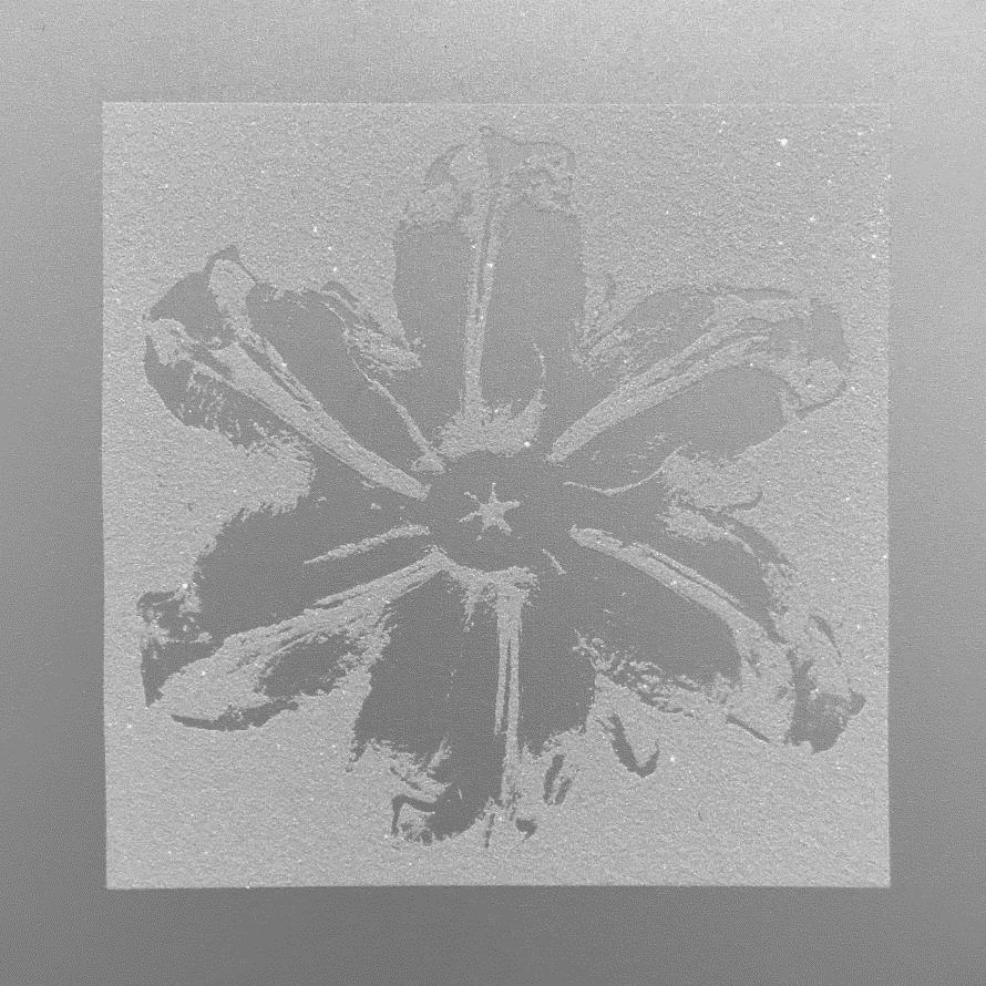 Serigrafia Robierb - Power Flower (Silver)