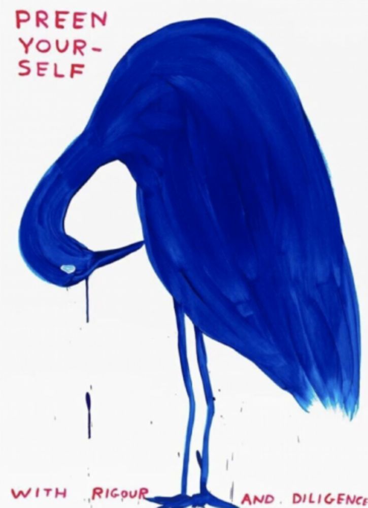 Serigrafia Shrigley - Preen Yourself