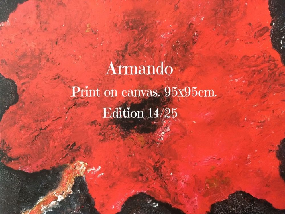 Non Tecnico Armando - Print on cavas