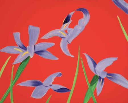 Non Tecnico Katz - Purple Irises on Red