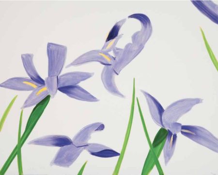 Non Tecnico Katz - Purple Irises on White