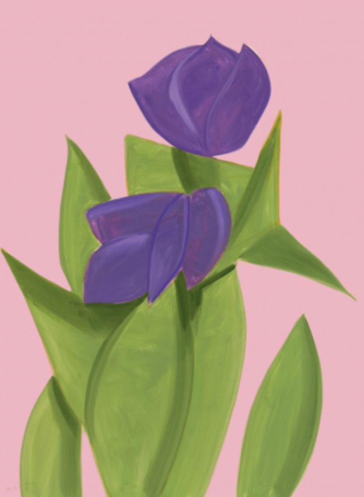 Multiplo Katz - Purple Tulips 2
