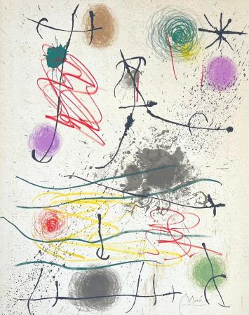 Litografia Miró - Quelques fleurs pour des amis 