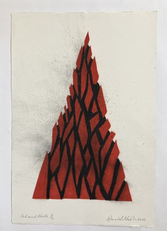 Non Tecnico Nash - Red and black triangle, 2009