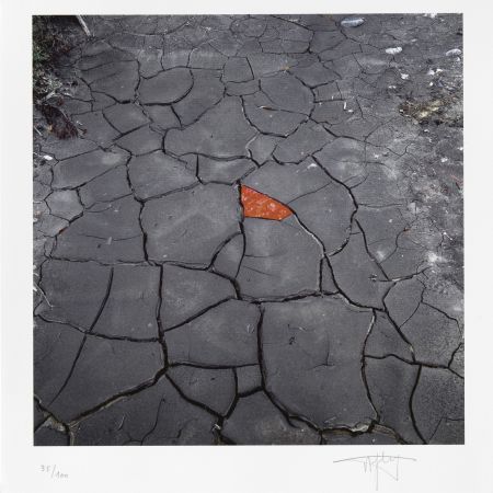 Grafica Numerica Goldsworthy - Red Leaves on Cracked earth