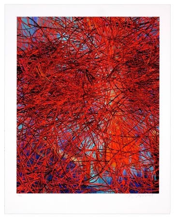 Grafica Numerica Myrvold - Red Wires in Sunset