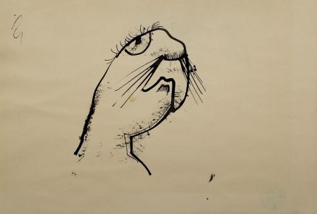 Non Tecnico Hofer - Robbe (Seal)