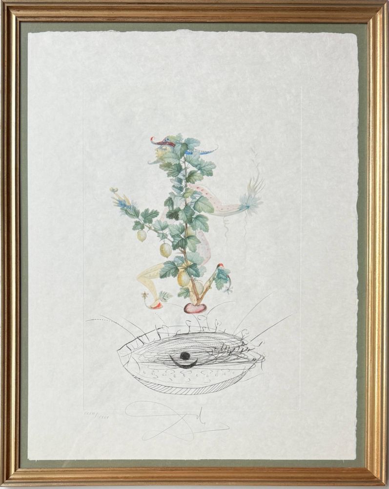 Litografia Dali - Révérence du groseillier (Curtsying Gooseberry Bush)