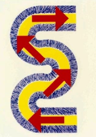 Litografia Sugai - S (Flèches rouges)