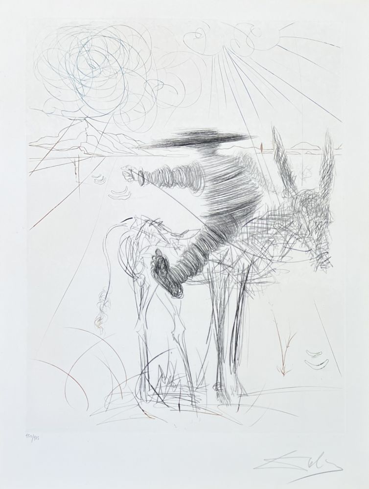 Punta Secca Dali - Salvador Dalí (1904-1989) - Drypoint etching on Lana paper - 1970