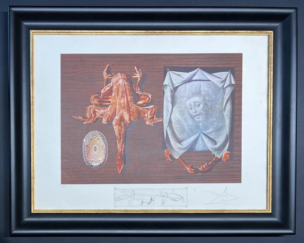 Litografia Dali - Salvador Dalí (1904–1989) - Coloured lithograph on BFK Rives paper - 1971