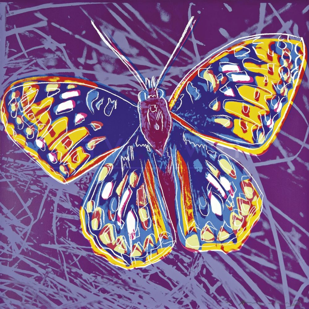 Serigrafia Warhol - San Francisco Silverspot (FS II.298)