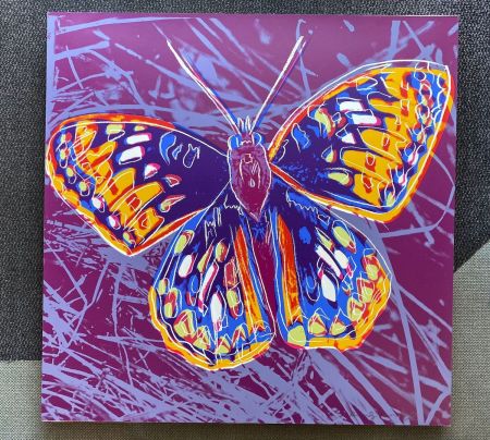 Serigrafia Warhol - San Francisco Silverspot (FS II.298)