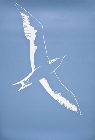 Linoincisione Katz - Seagull