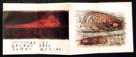 Libro Illustrato Toyofuku - Segni e vibrazioni