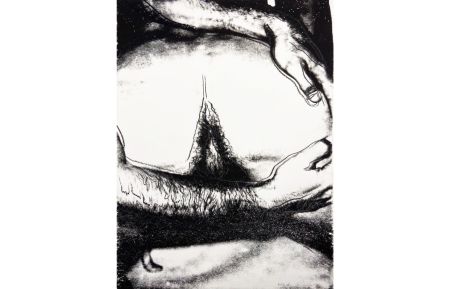 Serigrafia Warhol - Sex Parts II.173