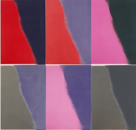 Serigrafia Warhol - Shadows II Complete Portfolio