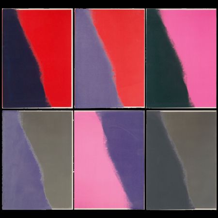 Serigrafia Warhol - Shadows II Complete Portfolio (FS II.210-215)