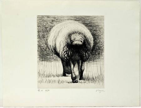 Acquaforte Moore - Sheep back view