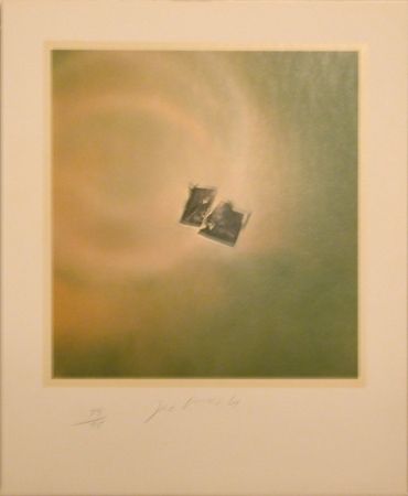 Litografia Goode - Six Lithographs (torn photo on green background)