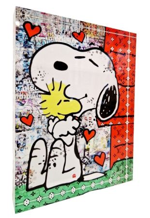 Grafica Numerica Cuencas - Snoopy LOVE Forever
