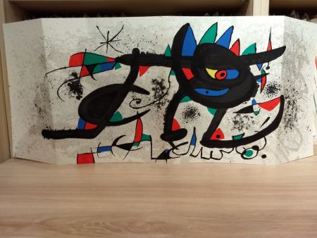 Libro Illustrato Miró - Sobreteixims