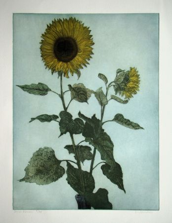 Incisione Michelsen - Sonnenblumen