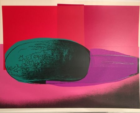 Serigrafia Warhol - Space Fruit: Watermelon (FS II.199)