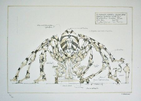 Litografia Delarozière - Spider - mecanique savante - Liverpool  La machine