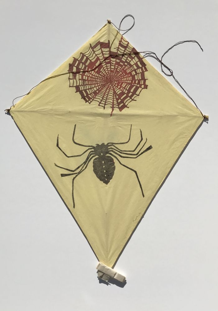 Non Tecnico Toledo - Spider and Web Kite